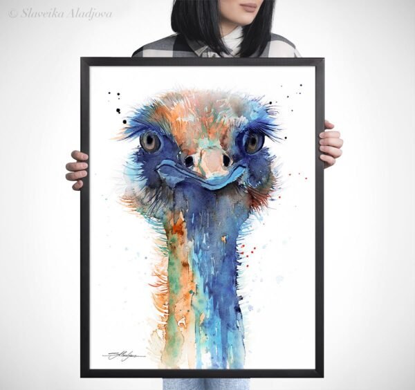 Ostrich Ostrich