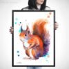 Red squirrel