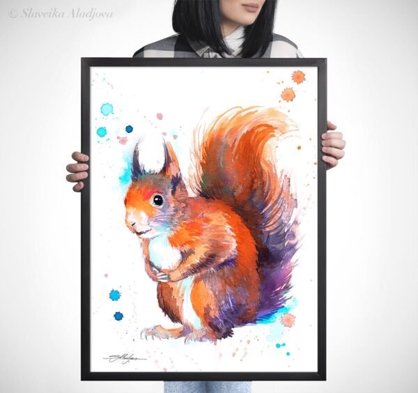 Red squirrel