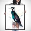 Great cormorant