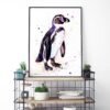 Humboldt penguin