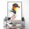 King vulture