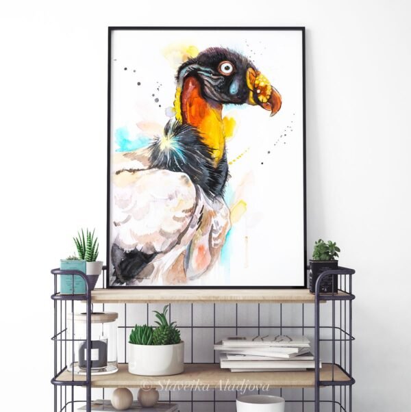 King vulture