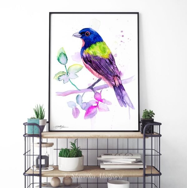 Painted bunting
