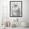 Snowy Owl Photography