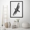 Hawk Photography Print by Luke Kanelov