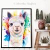 Alpaca