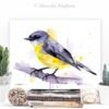 Eastern yellow robin