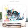 Chinchilla Chinchilla