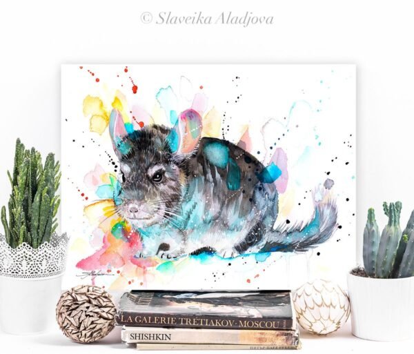 Chinchilla Chinchilla