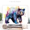 American black bear