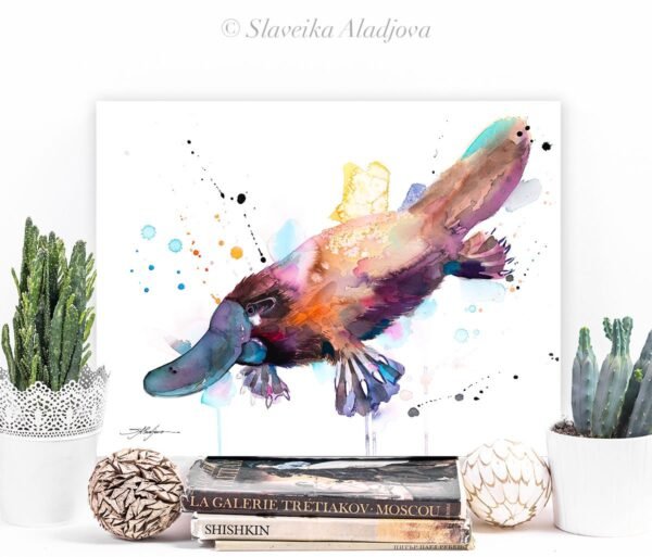 Platypus Platypus