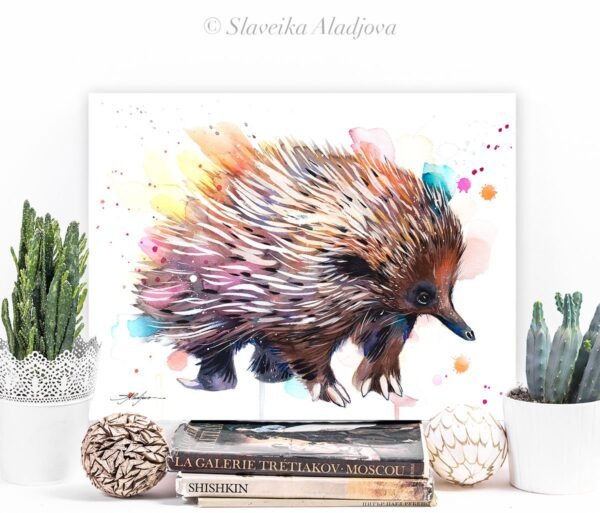Short-beaked echidna