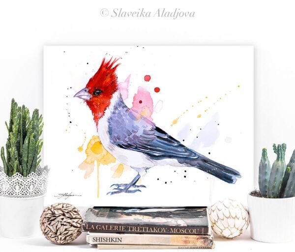 Red-crested cardinal