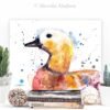 Ruddy shelduck Duck