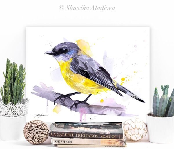 Eastern yellow robin