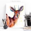 Steenbok