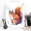 Red squirrel