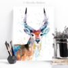 Red Lechwe