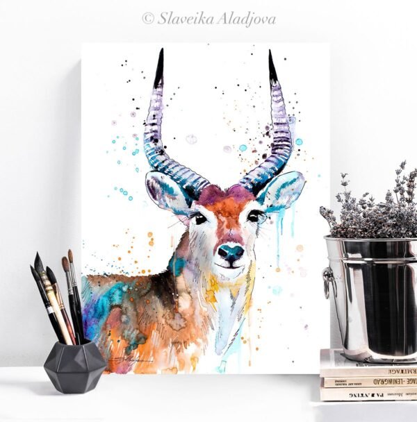 Red Lechwe