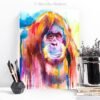 Orangutan Orangutan