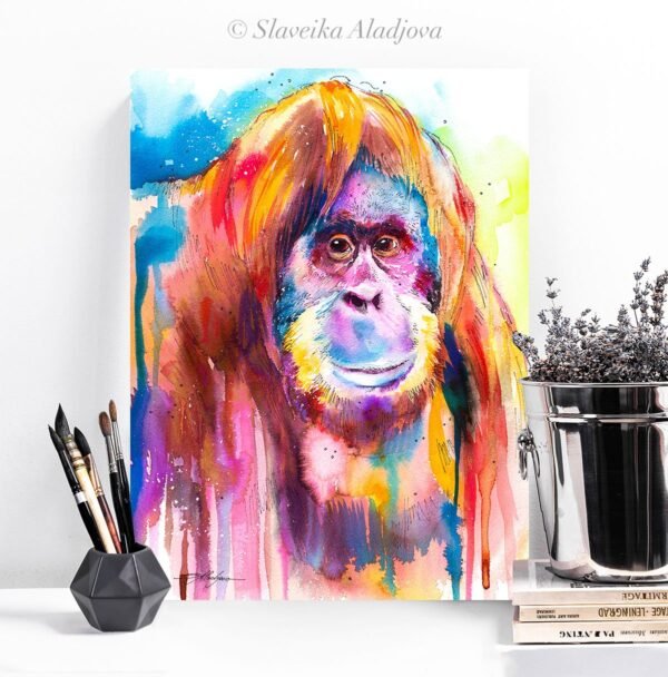 Orangutan Orangutan