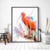 Scarlet Ibis Scarlet Ibis