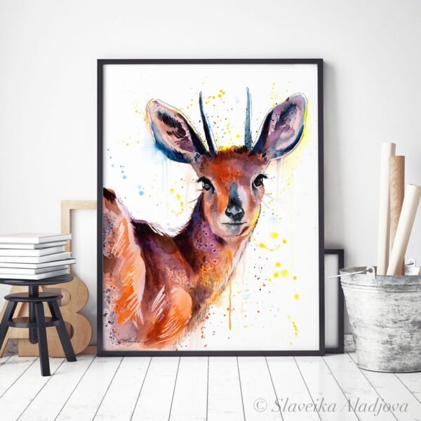 Steenbok