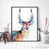 Red Lechwe