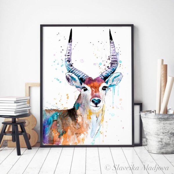 Red Lechwe