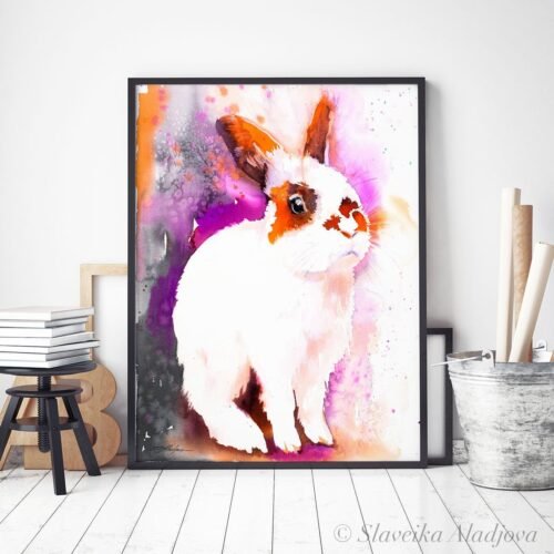 Rabbit