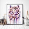 Purple tiger