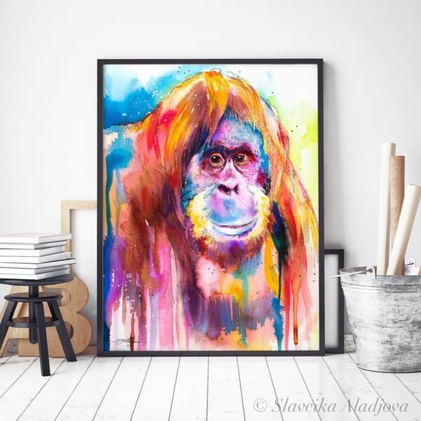 Orangutan Orangutan