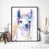 Llama