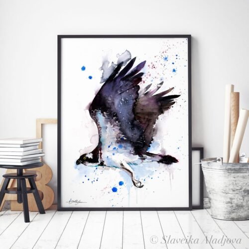 Osprey