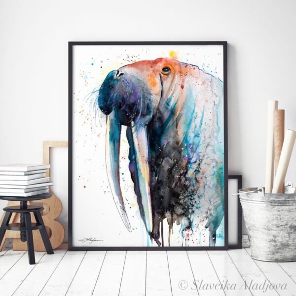 Walrus