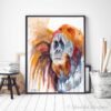 Sumatran orangutan