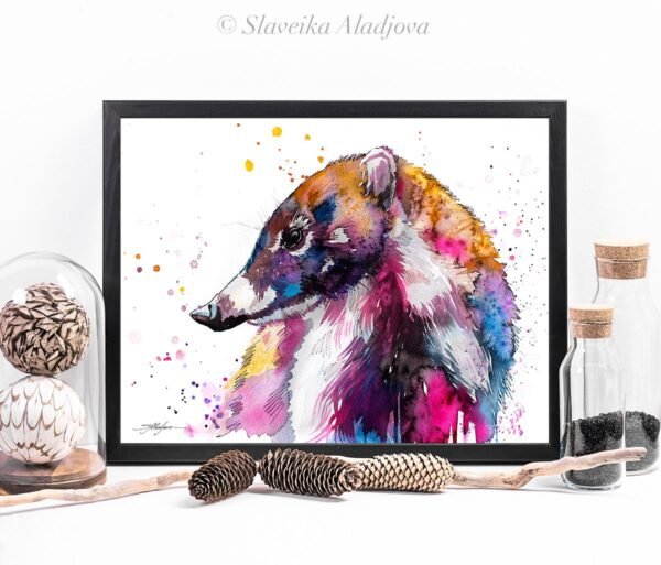 Coati
