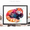 Red Panda Bear