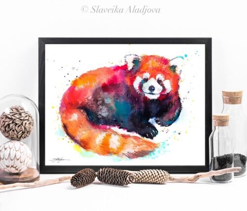 Red Panda Bear