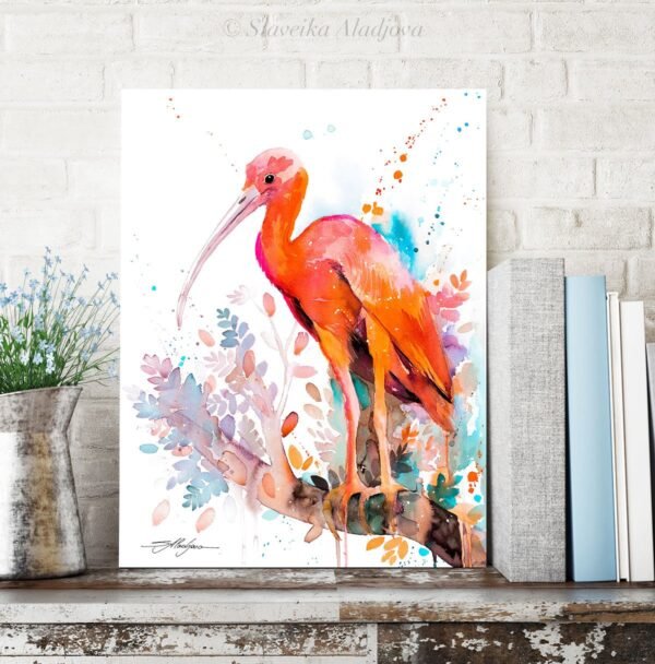 Scarlet Ibis Scarlet Ibis