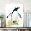 Gentoo penguin Gentoo penguin