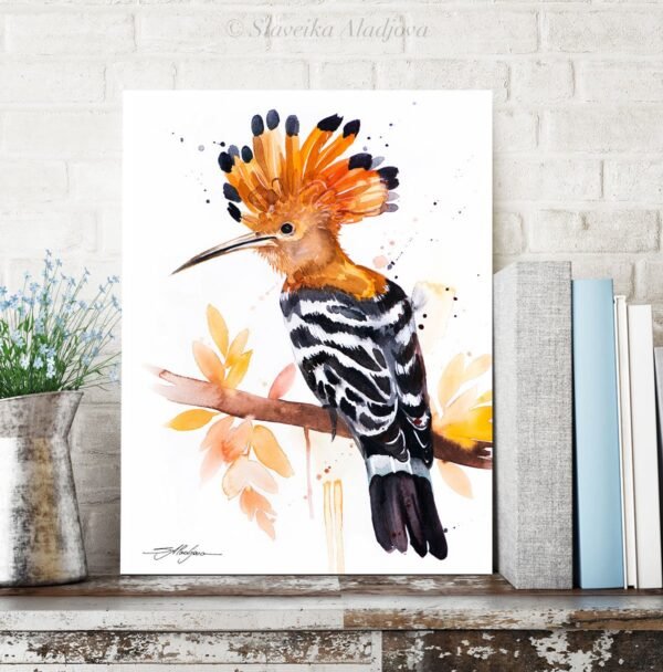 Hoopoe Hoopoe