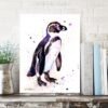 Humboldt penguin