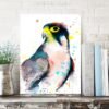 Lanner falcon