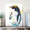 Macaroni penguin Macaroni penguin