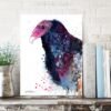 Turkey Vulture Turkey Vulture