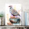 Red-legged partridge