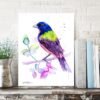 Painted bunting