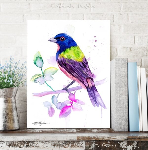 Painted bunting